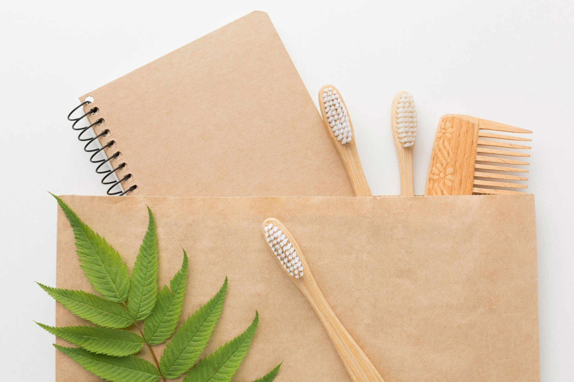 Dental Health Trends