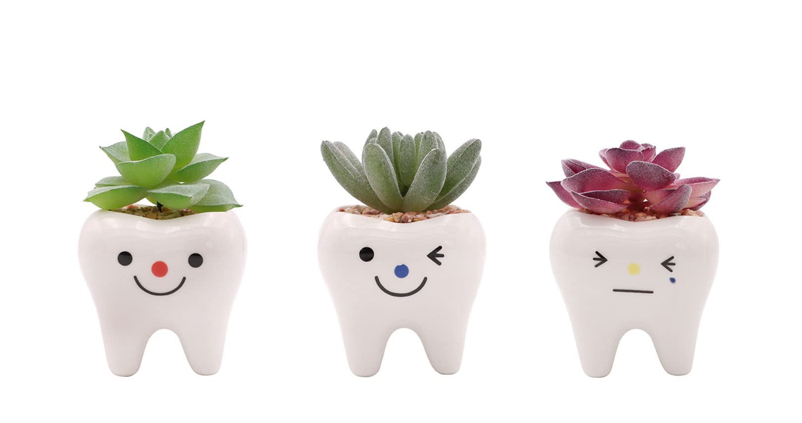 smiling tooth planter