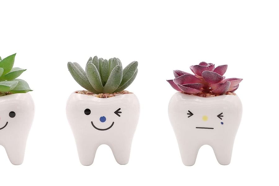 smiling tooth planter