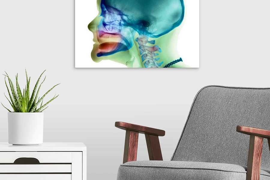 Tooth Anatomy Watercolor Art