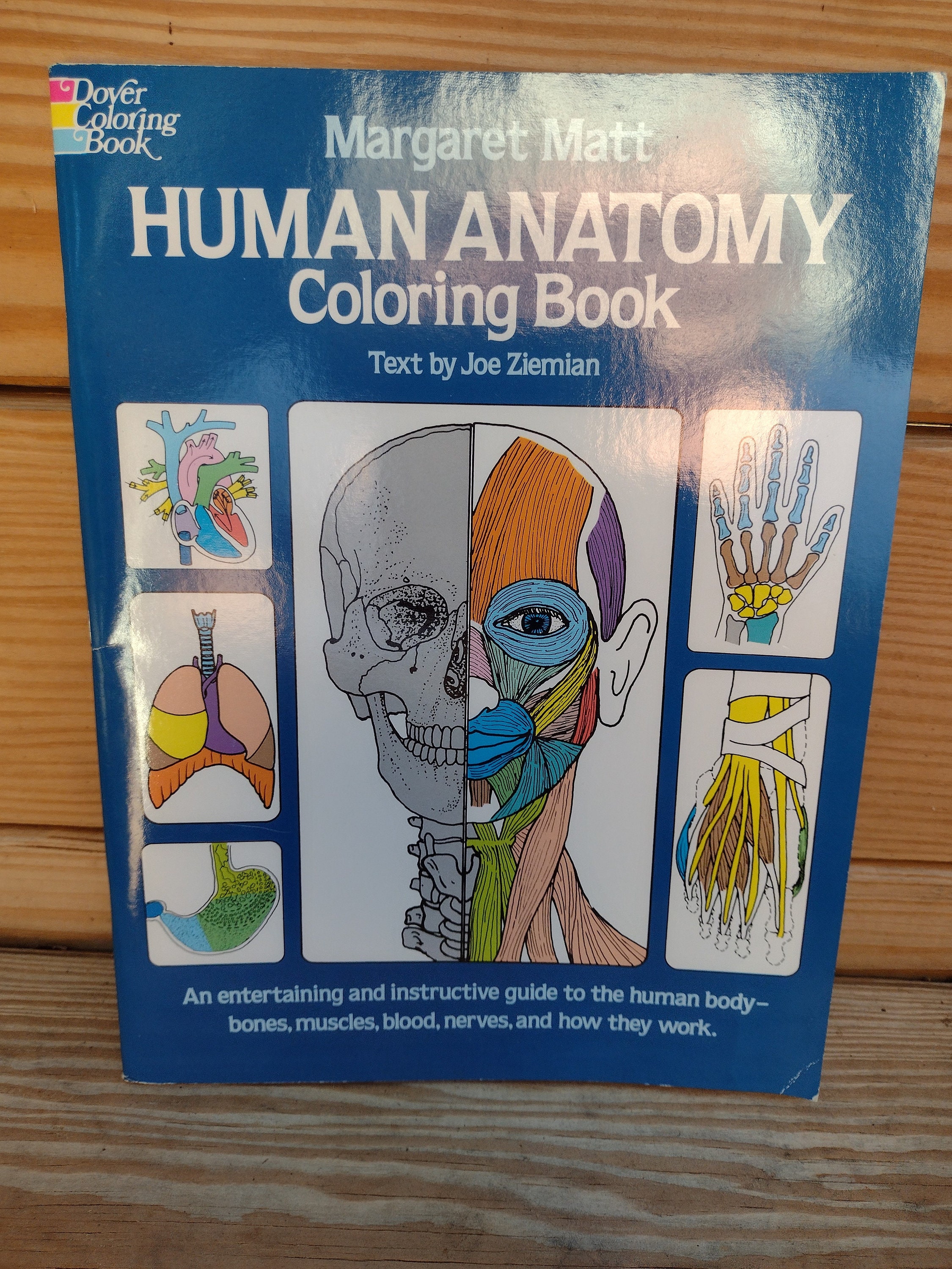 Dental Anatomy Coloring Book