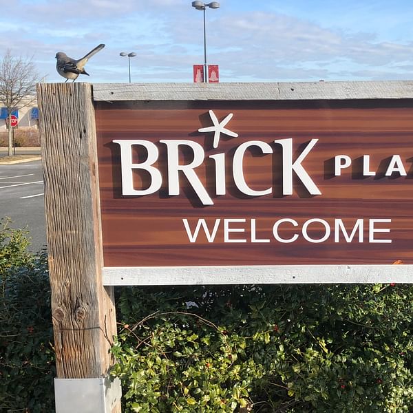 Best Dental Clinics in Brick Township, New Jersey