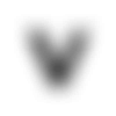 Valley Smiles Logo
