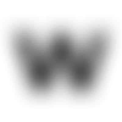 Willamette Dental Group - Meridian Logo