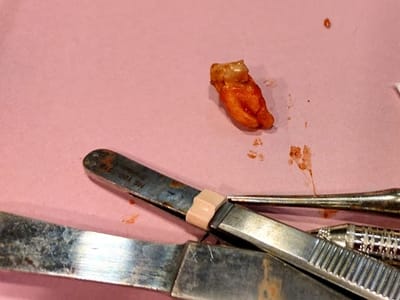 A & A Family Dentistry