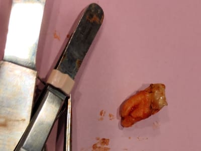 A & A Family Dentistry