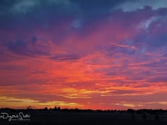 A. Andrew Wilson III DDS PA