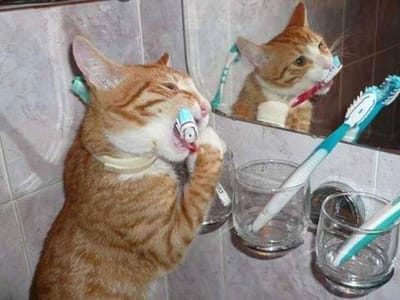 A Downtown Dental Group