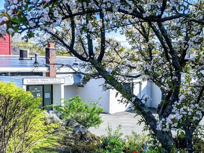 A. Lichelle Aldana, DDS, PC Family Dentistry