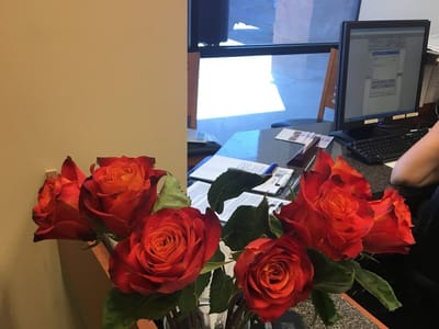 A Tender Dental Care II