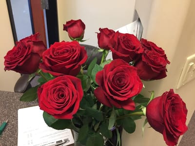 A Tender Dental Care II