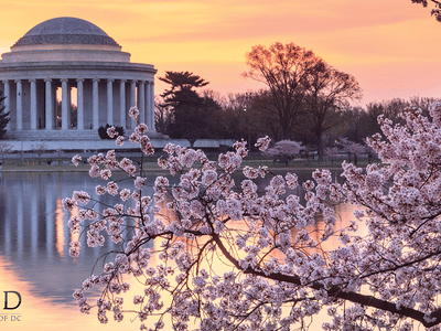 Advanced Cosmetic & General Dentistry of DC