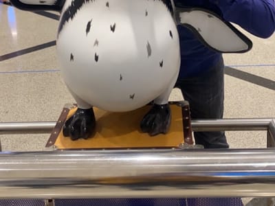 Advanced Dental Care & Orthodontics