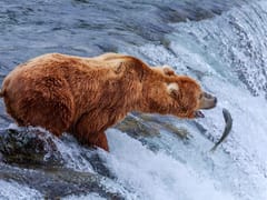 Advanced Family Dentistry