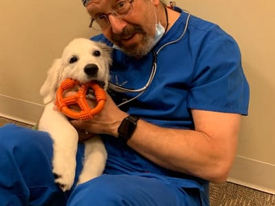 Albany Dental Care, P.C.