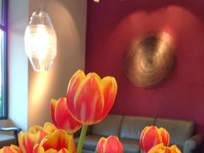 Alex H. Nguyen, DDS - Saratoga Dentist