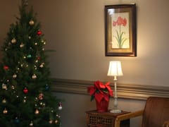 All Smiles Dental - Dr. Shahla Satary