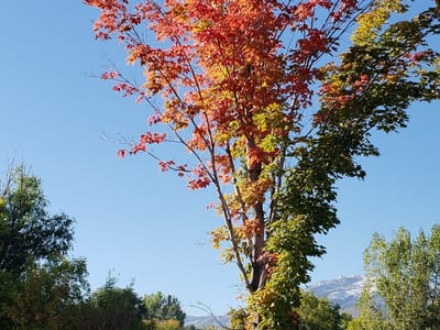 All smiles Dentistry - Dr. James B. Bonny, DDS