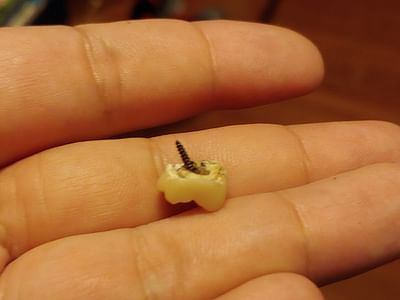 All Smiles Family & Children Dentistry