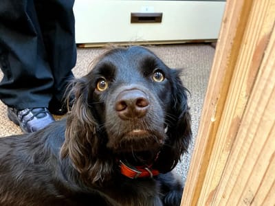 All Smiles Family Dentistry