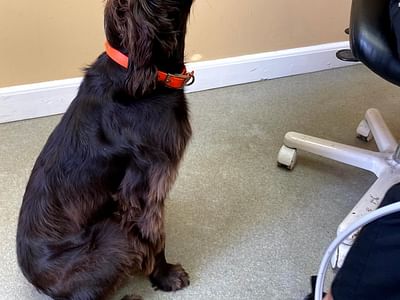 All Smiles Family Dentistry