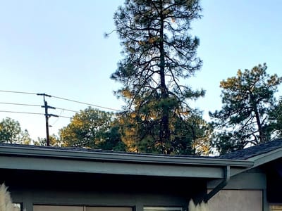 Anderson Dental Group