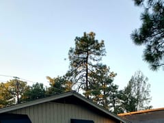 Anderson Dental Group