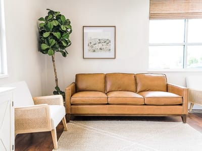 Apple Blossom Dental - West Jordan Dentist