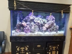 Archibald Family Dentistry