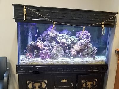 Archibald Family Dentistry