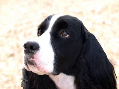 Arkansas Dental Centers - Cantrell