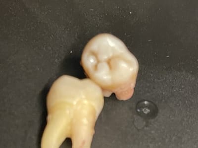 Art of Cosmetic Dentistry