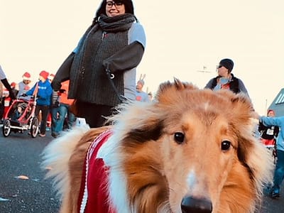 Associate Implant & Family Dentistry