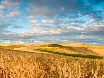 Auburn Family Dental : Wichita Dentist