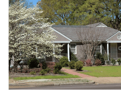 Avery & Meadows Dental Partnership