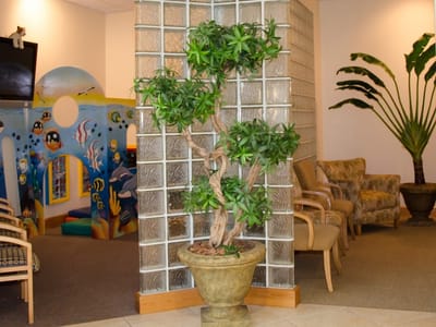 Azari & Zahedi Dentistry