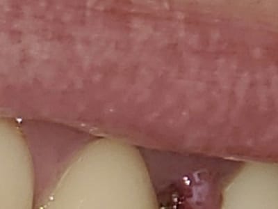 Bain Dental Group Villa Rica