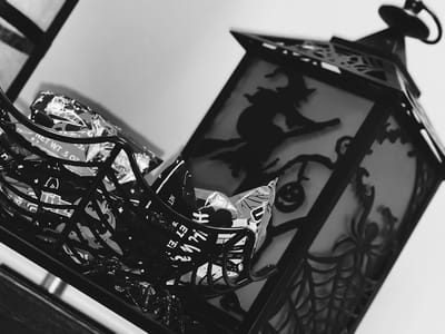 Ballwin Dentist - Angelina Anisimova, DDS