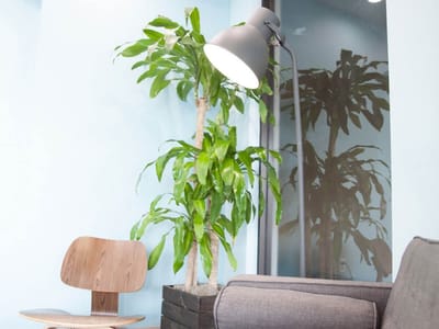 Bay Premier Dentistry - Tampa