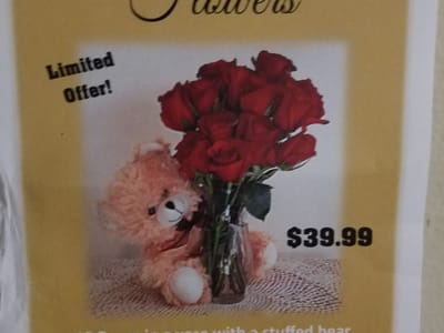 Bayfront Dental PC- Shaesta Najeem DDS