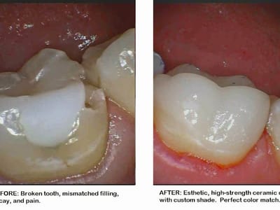 Bear Coast Dentistry