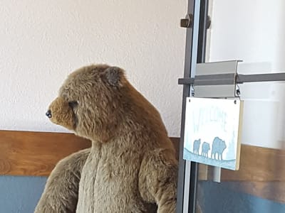 Bearable Dentistry PLLC