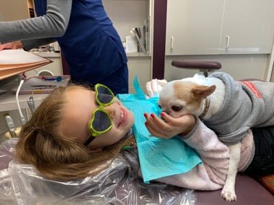 Bellevue Park Dental