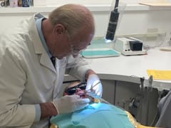 Benusis Dental Prof LLC