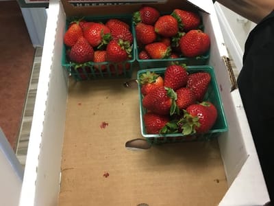 Blatchley Family Dentistry: Ryan T. Blatchley, DDS