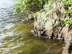 Bobby S. Lee, DDS - Family Dentist