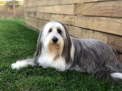 Boynton Family Dental Arts