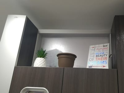 Bradley J Rachow, DDS