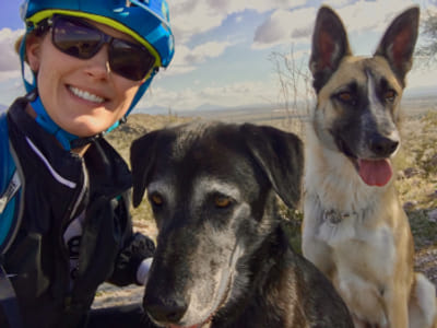 Bradshaw Family Dental