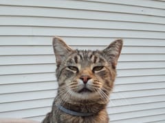 Brandenburg Family Dentistry - Meade County's Most Experienced Dentist